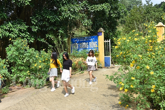 da quy ba vi khoe sac