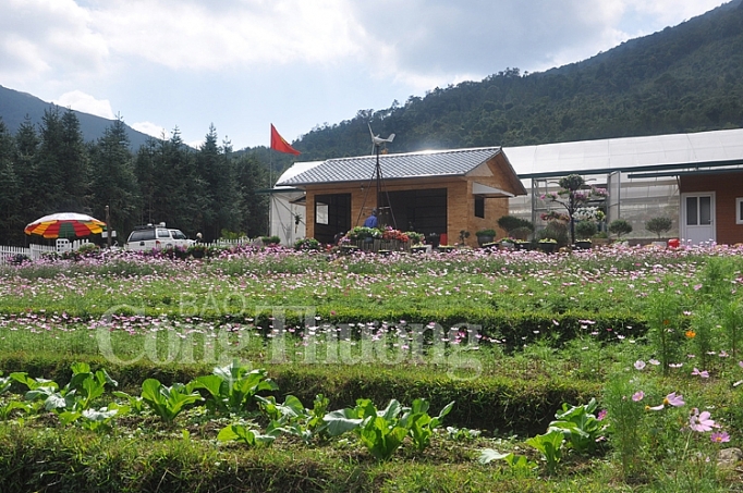 binh lieu huong toi ky niem 100 nam thanh lap