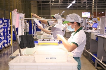 Thanh tra bảo hiểm xã hội: Ngăn chặn kịp thời các hành vi trục lợi
