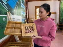 Quan Hóa - Thanh Hóa: Nâng cao thu nhập cho đồng bào miền núi từ trồng luồng