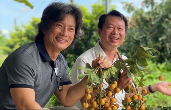 Tỷ phú miền Tây kể chuyện bén duyên, làm giàu với trái thanh nhãn