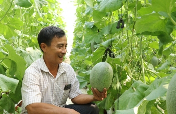 Rót trăm triệu cho con 