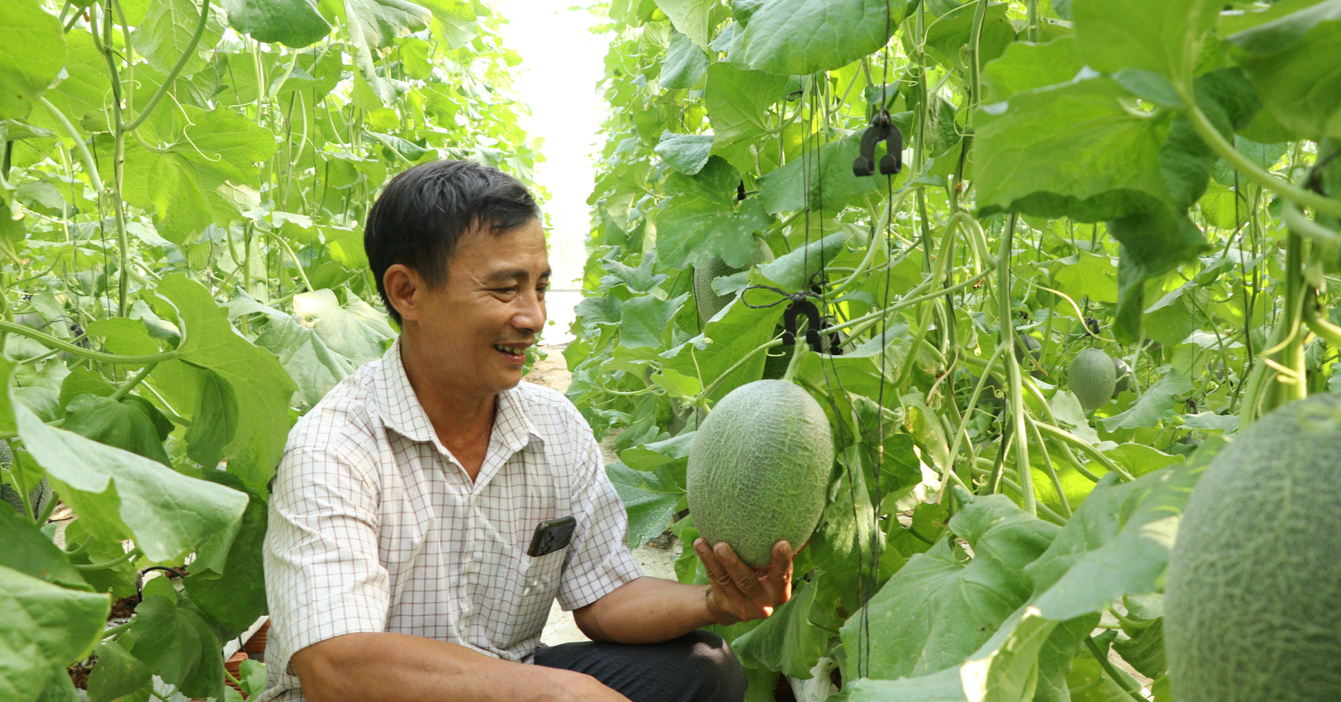 Rót trăm triệu cho con "làm liều", lão nông có ngay khu vườn thu tiền tỷ Rót trăm triệu cho con "làm liều", lão nông có ngay khu vườn thu tiền tỷ