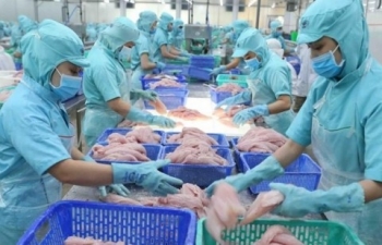 Tìm hiểu thị trường, tăng cơ hội xuất khẩu thủy sản sang Anh