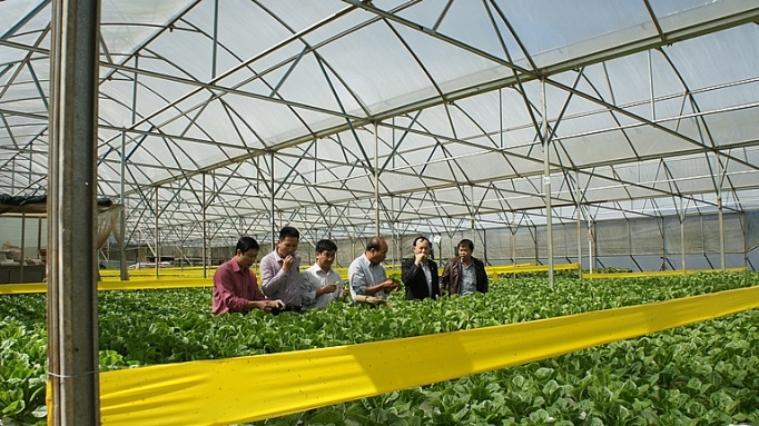 lam dong lay khoa hoc cong nghe tao dot pha trong san xuat tieu thu nong san