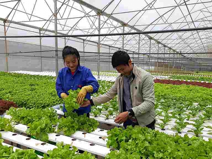 lam dong lay khoa hoc cong nghe tao dot pha trong san xuat tieu thu nong san