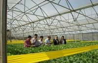 Lâm Đồng - Lấy khoa học công nghệ tạo đột phá trong sản xuất, tiêu thụ nông sản