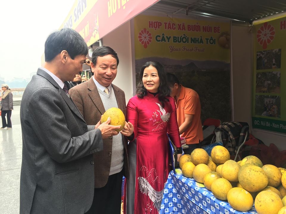 hoi cho nong san tet ky hoi nam 2019 ha noi quy tu dac san vung mien