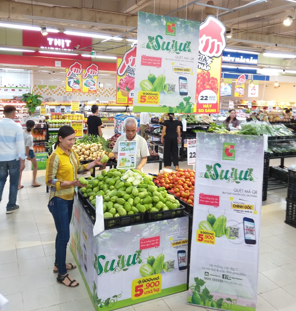 big c se tieu thu 30 tan su su hoang mai nghe an co truy xuat nguon goc