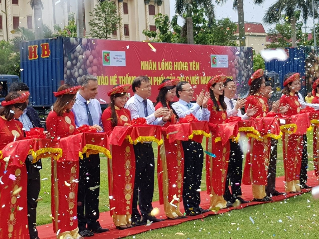 Nhãn lồng Hưng Yên sắp có mặt tại Big C trên toàn quốc nhan long hung yen sap co mat tai big c tren toan quoc