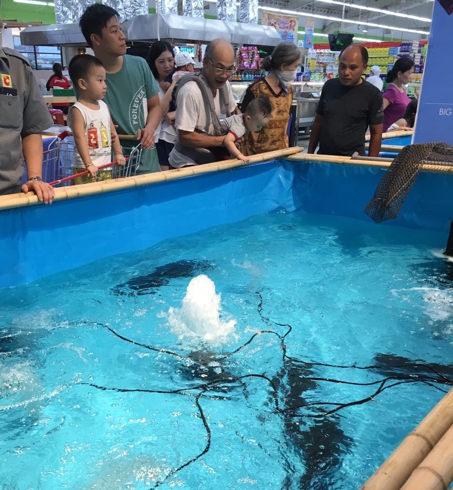 Tuần lễ cá Sông Đà tại Big C Hải Phòng- Quảng bá cá Sông Đà đến người dân thành phố Cảng tuan le ca song da tai big c hai phong quang ba ca song da den nguoi dan thanh pho cang