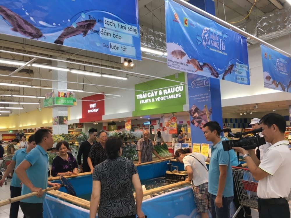 Tuần lễ cá Sông Đà tại Big C Hải Phòng- Quảng bá cá Sông Đà đến người dân thành phố Cảng tuan le ca song da tai big c hai phong quang ba ca song da den nguoi dan thanh pho cang