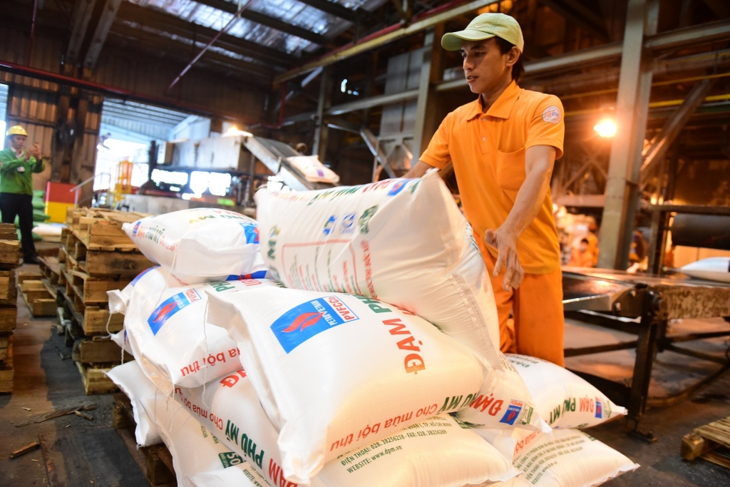 kiem toan nha nuoc hoat dong sxkd va quan tri cua pvfcco minh bach