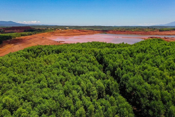 nhom lam dong doanh thu quy i tang 266 so voi cung ky nam 2018