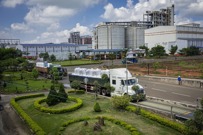 tong giam doc nhom lam dong vinh du nhan danh hieu cup thanh giong