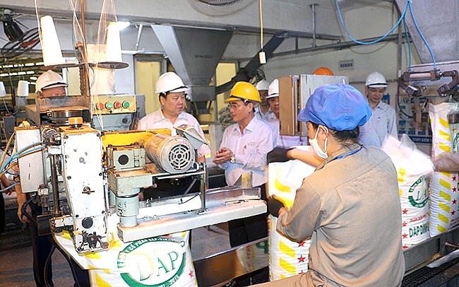 Những nỗ lực bền bỉ giúp DAP - Vinachem đứng vững trên thị trường nhung no luc ben bi giup dap vinachem dung vung tren thi truong