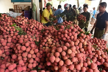 Nông sản Việt cần tính chuyện đường dài