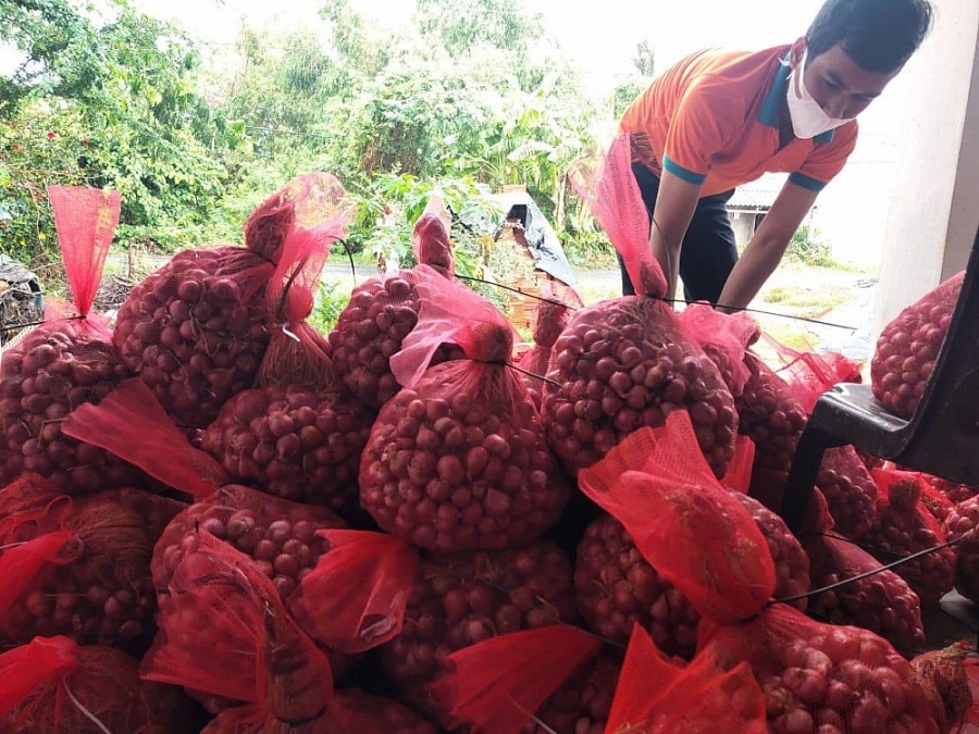 Sản phẩm hành tím được bà con đóng gói cẩn thận Sản phẩm hành tím được bà con đóng gói cẩn thận
