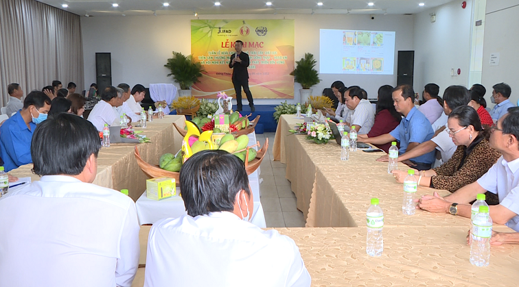 Tại buổi Lễ khai mạc cũng diễn ra Hội nghị kết nối, tiêu thụ và phát triển bền vững thị trường xoài Tại buổi Lễ khai mạc cũng diễn ra Hội nghị kết nối, tiêu thụ và phát triển bền vững thị trường xoài