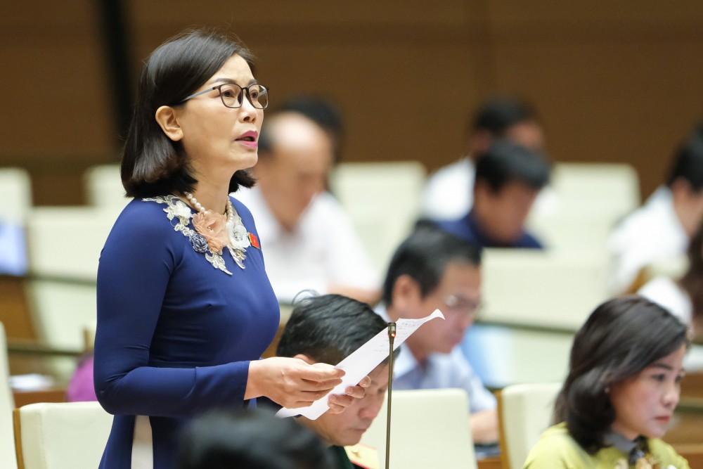 đại biểu Nguyễn Thị Xuân – đoàn Đắk Lắk đại biểu Nguyễn Thị Xuân – đoàn Đắk Lắk