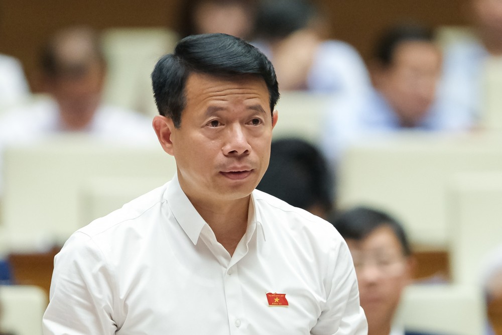 đại biểu Nguyễn Hải Dũng – đoàn Nam Định đại biểu Nguyễn Hải Dũng – đoàn Nam Định