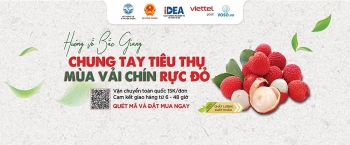 Hiệp hội Thương mại điện tử hiến kế đưa nông sản miền núi, dân tộc lên sàn thương mại điện tử