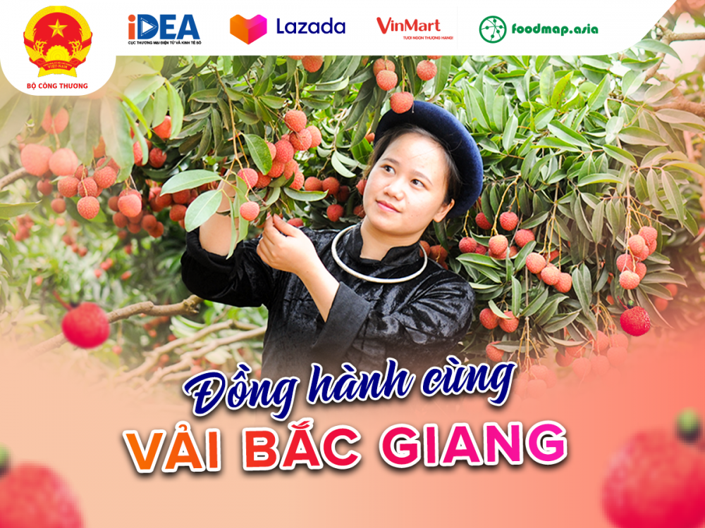 Từ ngày 8/6/2021, Lazada sẽ triển khai hợp tác cùng 2 đối tác bán lẻ lớn là VinMart và FoodMap để mở bán vải thiều Bắc Giang