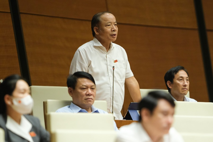 (CẬP NHẬT LIÊN TỤC) Phiên chất vấn sáng 8/6: Tiếp tục giải đáp nhiều vấn đề “nóng” của nông nghiệp, tài chính