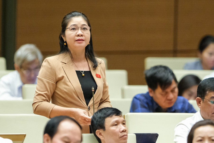 (CẬP NHẬT LIÊN TỤC): Phiên chất vấn Bộ trưởng Tài chính và Thống đốc Ngân hàng