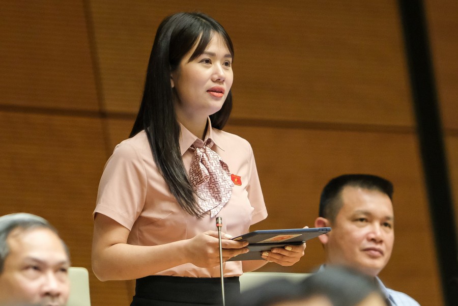 (CẬP NHẬT LIÊN TỤC): Phiên chất vấn Bộ trưởng Tài chính và Thống đốc Ngân hàng