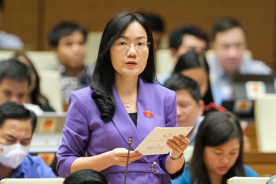 (CẬP NHẬT LIÊN TỤC): Phiên chất vấn Bộ trưởng Tài chính và Thống đốc Ngân hàng