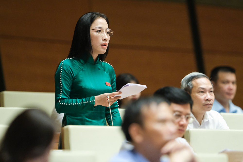 Đại biểu Trần Khánh Thu – đoàn Thái Bình Đại biểu Trần Khánh Thu – đoàn Thái Bình