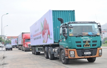 Linh hoạt giải pháp gỡ khó trong logistics thương mại điện tử