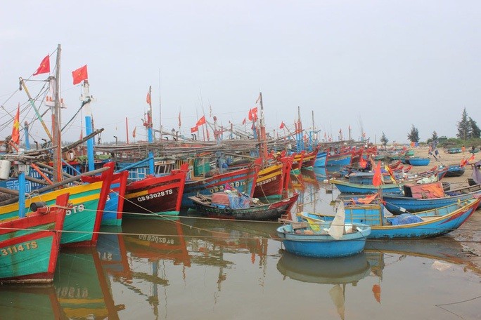 Nghiên cứu hỗ trợ ngư dân ảnh hưởng do giá xăng, dầu Nghiên cứu hỗ trợ ngư dân ảnh hưởng do giá xăng, dầu