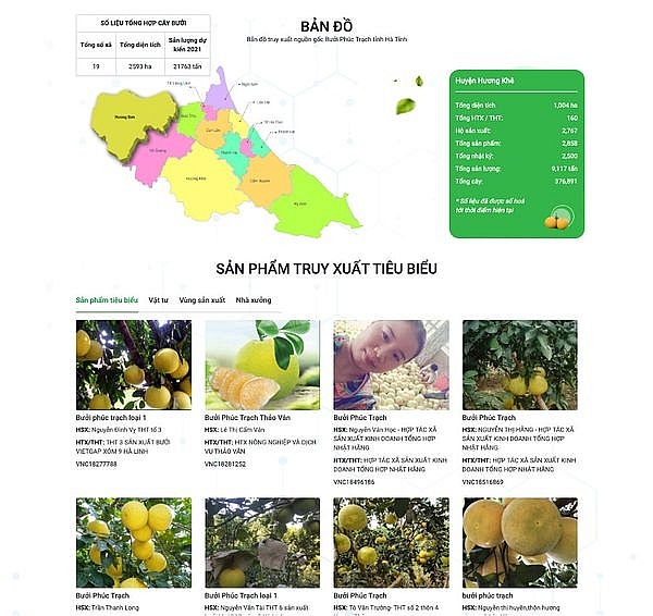 Hà Tĩnh đã hoàn thiện hệ thống truy xuất nguồn gốc cây bưởi Phúc Trạch tại địa chỉ: https://buoiphuctrach.gov.vn Hà Tĩnh đã hoàn thiện hệ thống truy xuất nguồn gốc cây bưởi Phúc Trạch tại địa chỉ: https://buoiphuctrach.gov.vn