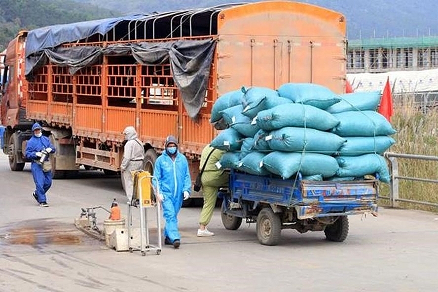 làm tốt công tác đảm bảo an toàn phòng, chống dịch COVID-19 tạo sự lan toản đối với các địa phương làm tốt công tác đảm bảo an toàn phòng, chống dịch COVID-19 tạo sự lan toản đối với các địa phương