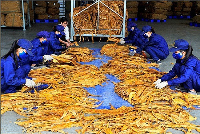 undefined 0932-4-jan-2019-033032-gmtthuoc-la-nguyen-lieu-1512446761254