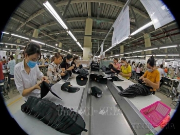 Hợp tác thương mại không ngừng phát triển ổn định