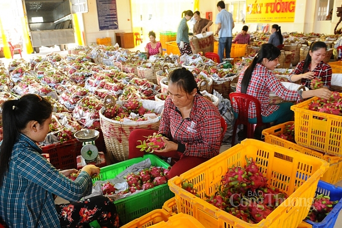 nong san noi dia lo giai bai toan ket noi cung cau