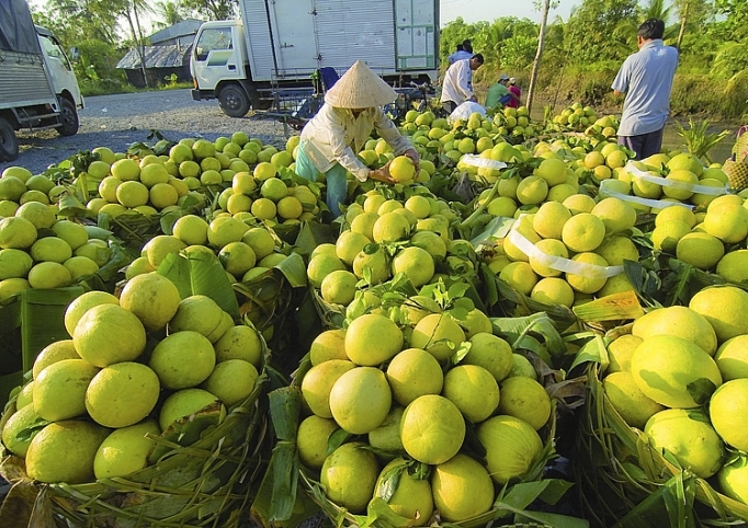 giai doan 2020 2030 1000 san pham dat thuong hieu quoc gia viet nam