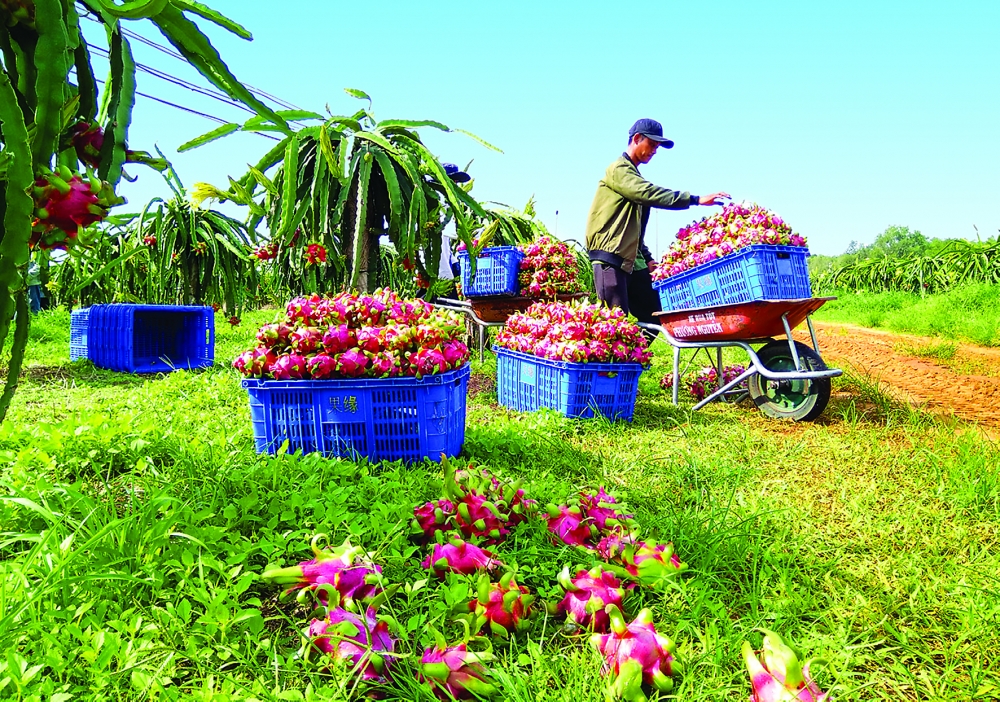 vietnam struggles to overcome trade barriers to farm exports