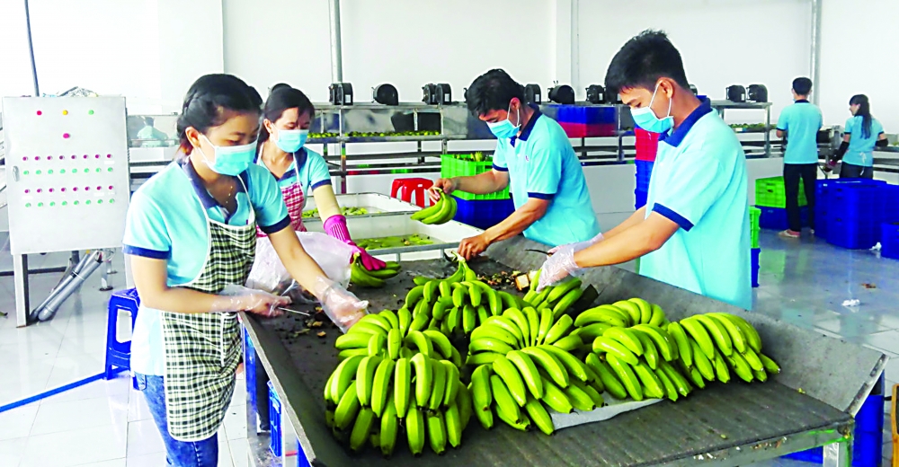vietnam struggles to overcome trade barriers to farm exports