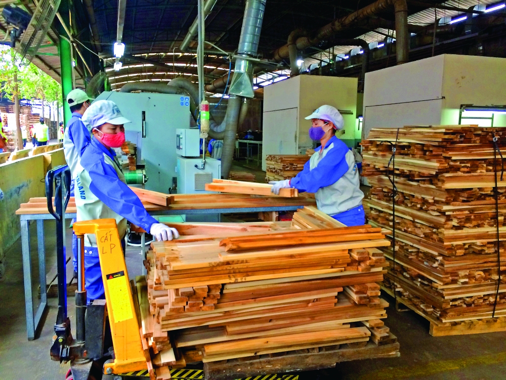 vietnam logs record year of timber and wood exports