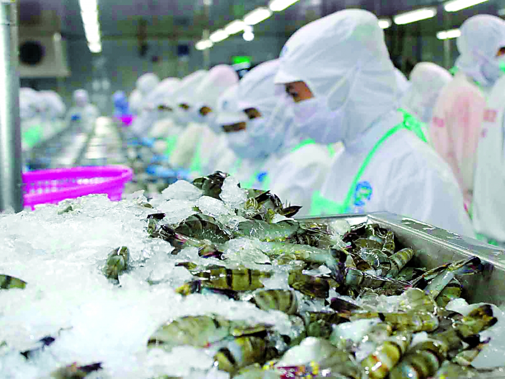 vietnamese exports to australia surge