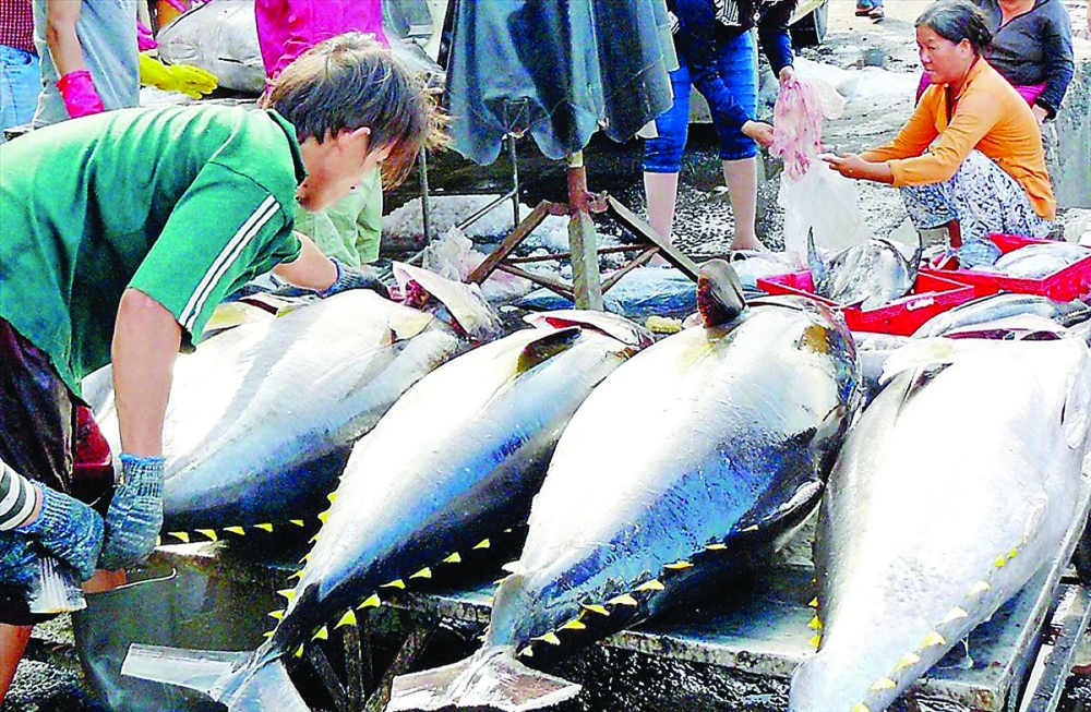 ec delays vietnams illegal fishing yellow card review