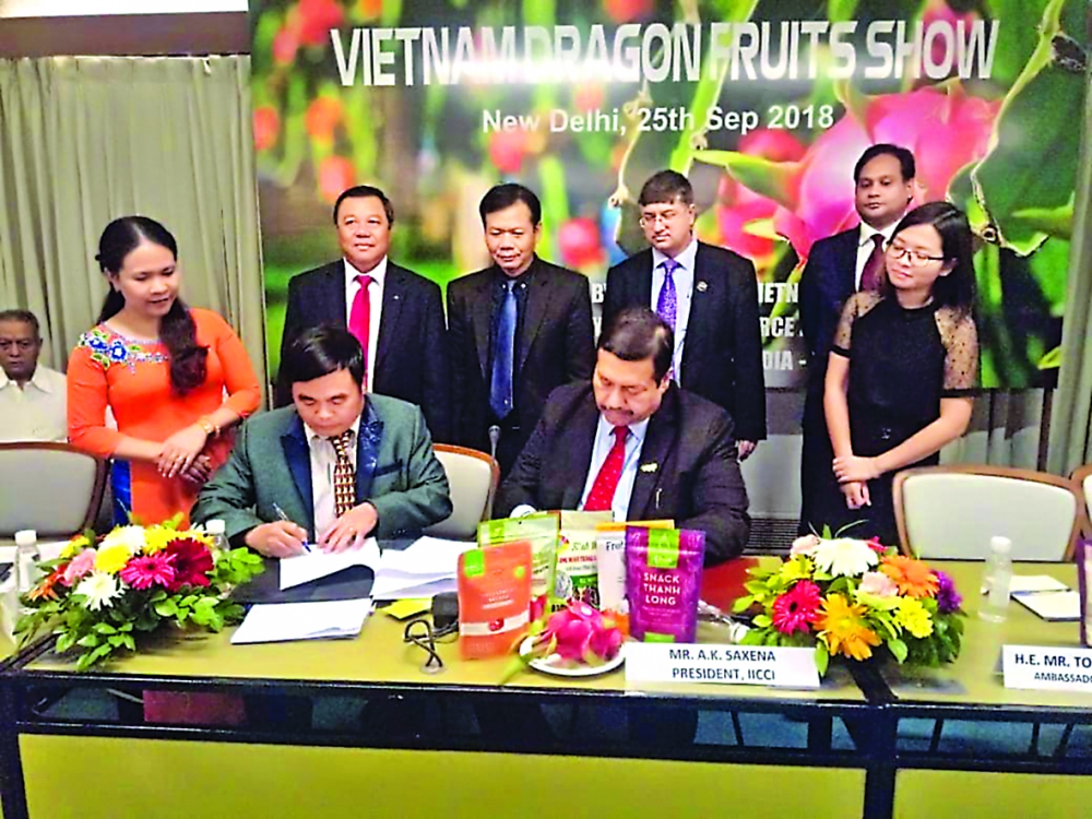 india vietnam trade surges to unprecedented highs