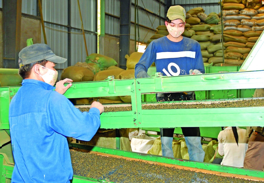 phu tho boosts rural industry