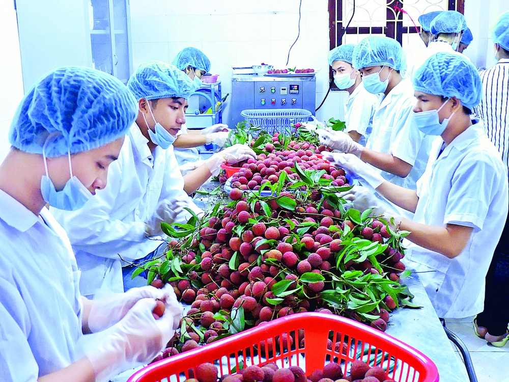 enhanced prospects ahead for exports to australia