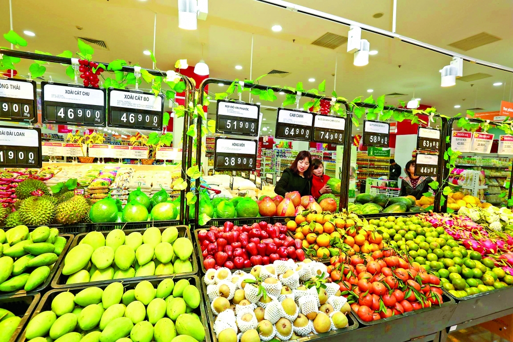 Initial results of CPTPP implementation in Vietnam surpass expectations initial results of cptpp implementation in vietnam surpass expectations