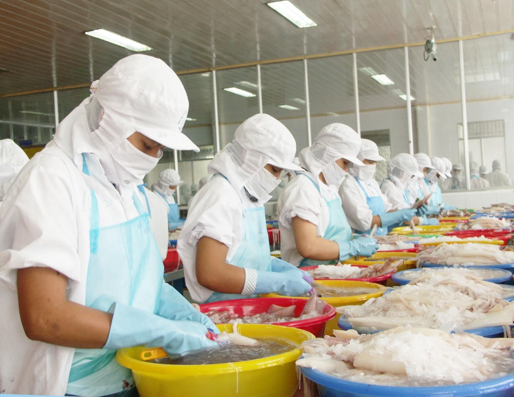 Vietnamese exports to US, EU hit hard by pandemic vietnamese exports to us eu hit hard by pandemic